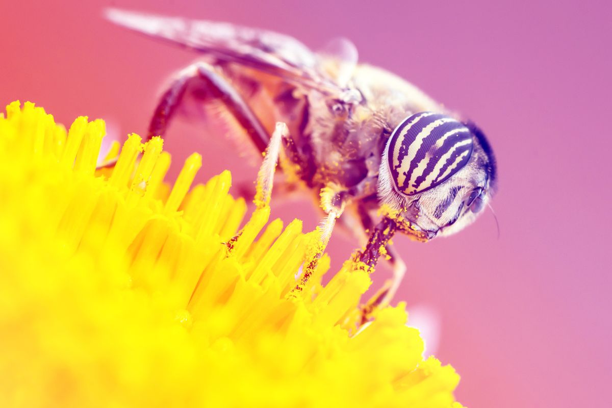 为什么花粉季会眼睛瘙痒 创新解决方案为您缓解过敏